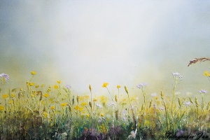 Fields-of-gold