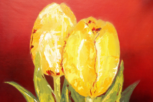 Gele-tulpen