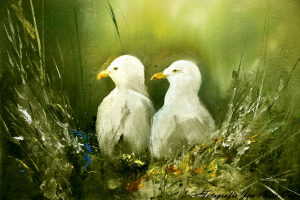Meeuwen