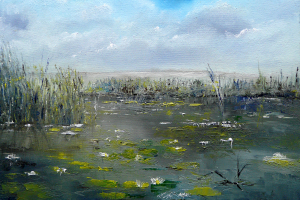 Waterpartij